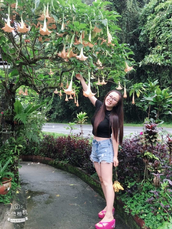 离异单身无子的第二张照片--苏州相亲服务中心
