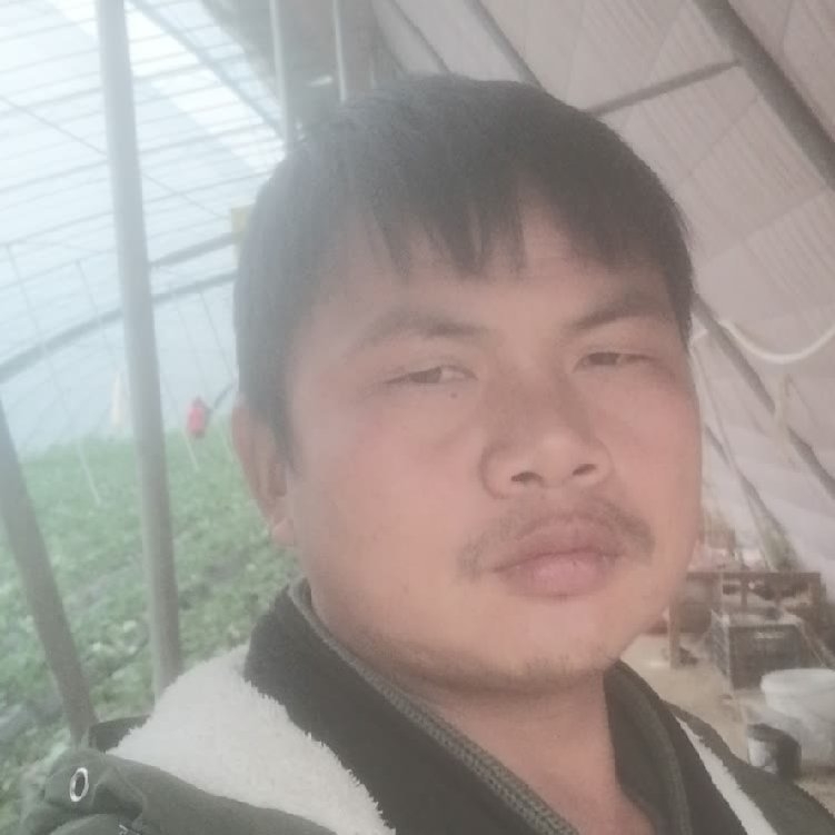 孤狼‘的第一张照片--苏州相亲服务中心