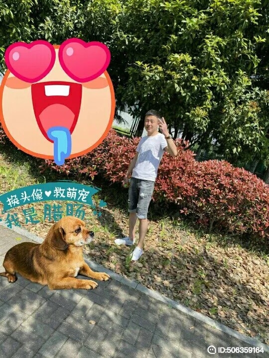 我若不坚强谁替我勇敢的第一张照片--苏州相亲服务中心