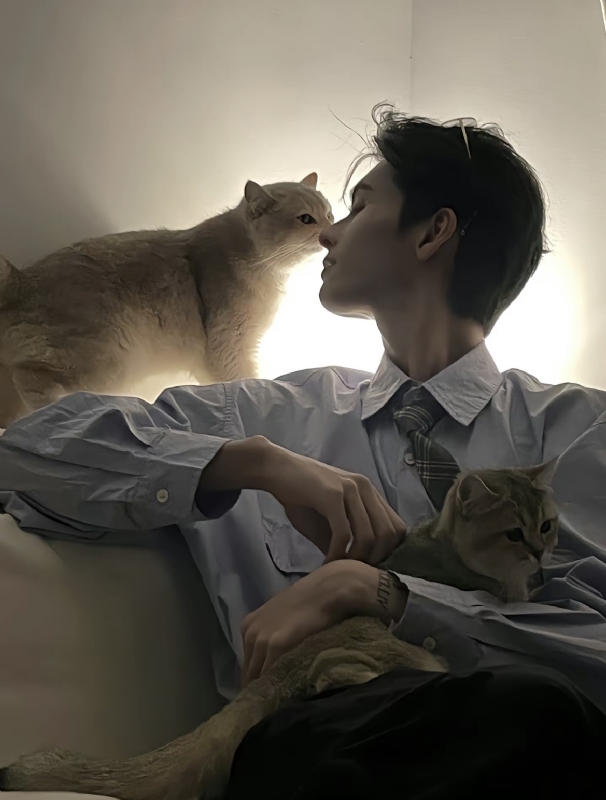 怪猫的第一张照片--苏州相亲服务中心