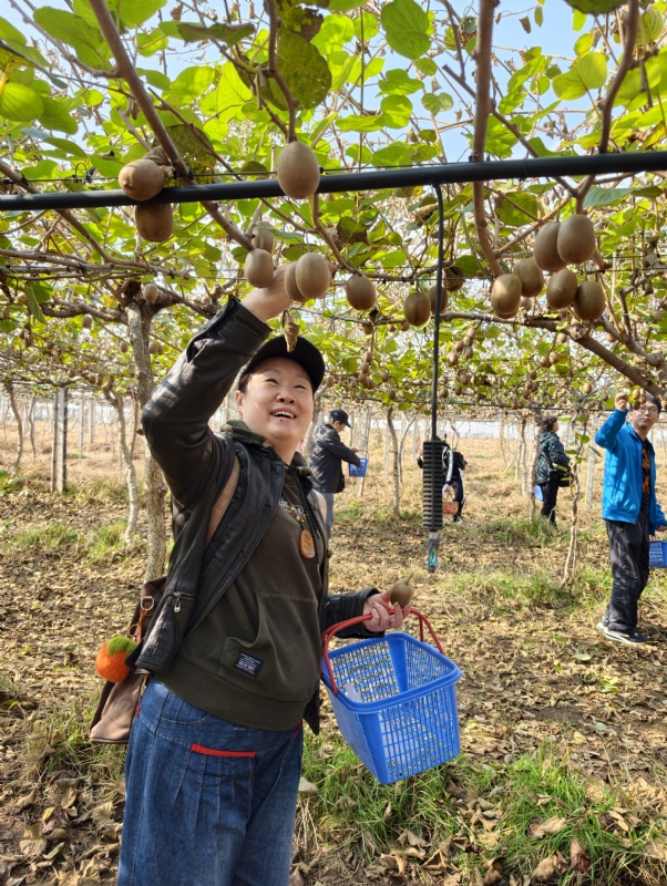 夜莺的第三张照片--苏州相亲服务中心